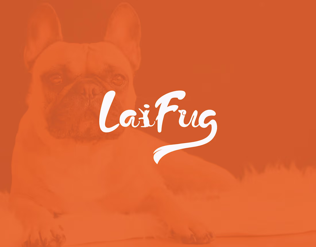 Cover image for LaiFug - Brand style guide