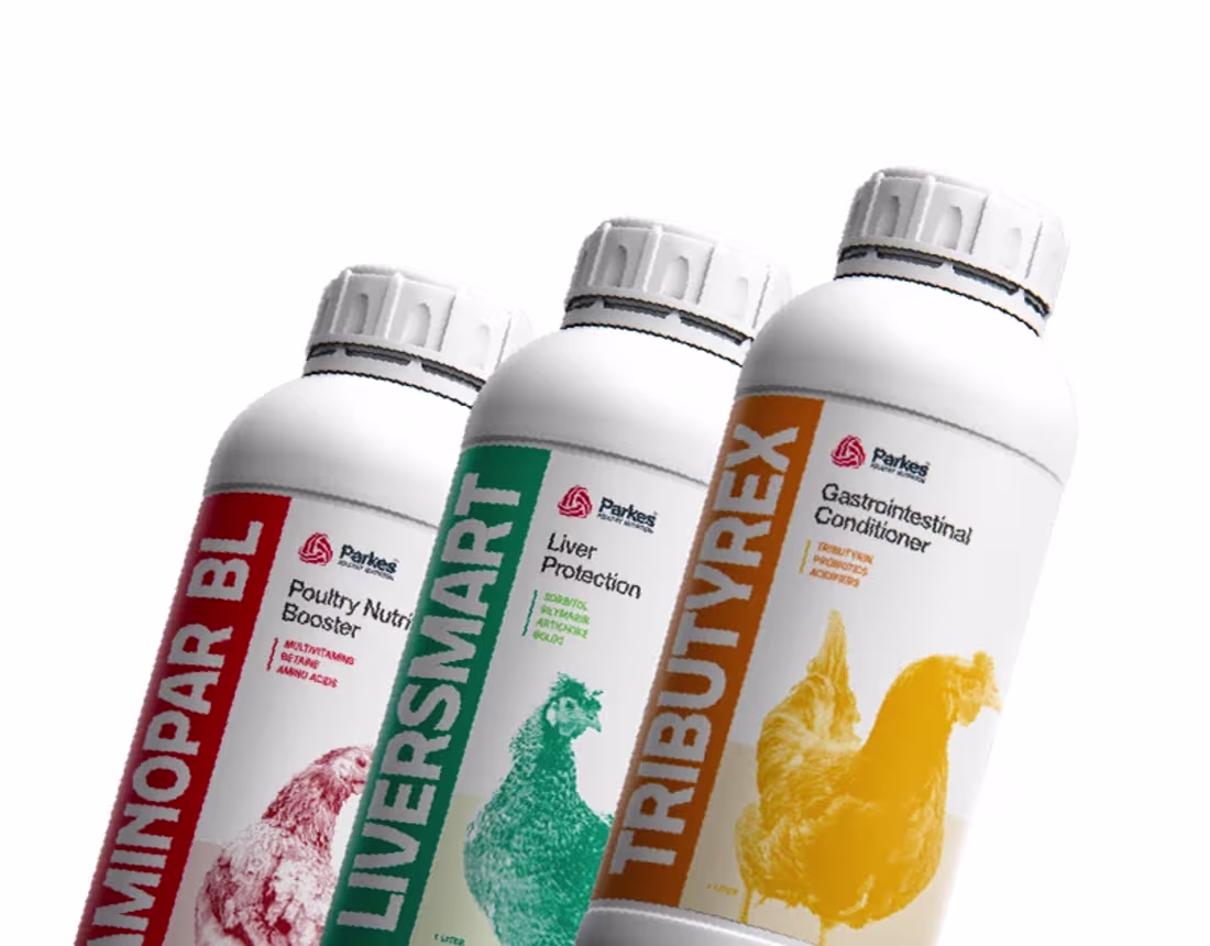 Cover image for Parkes Poultry Oral Solutions | Packaging Design