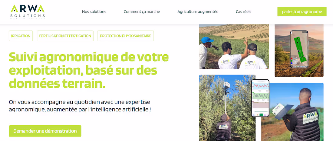 Cover image for I  designed and developed