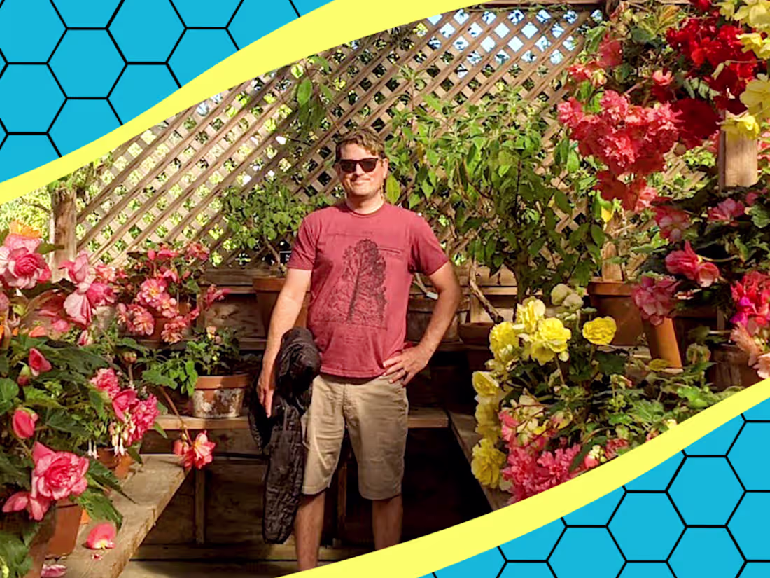 Cover image for Web Development