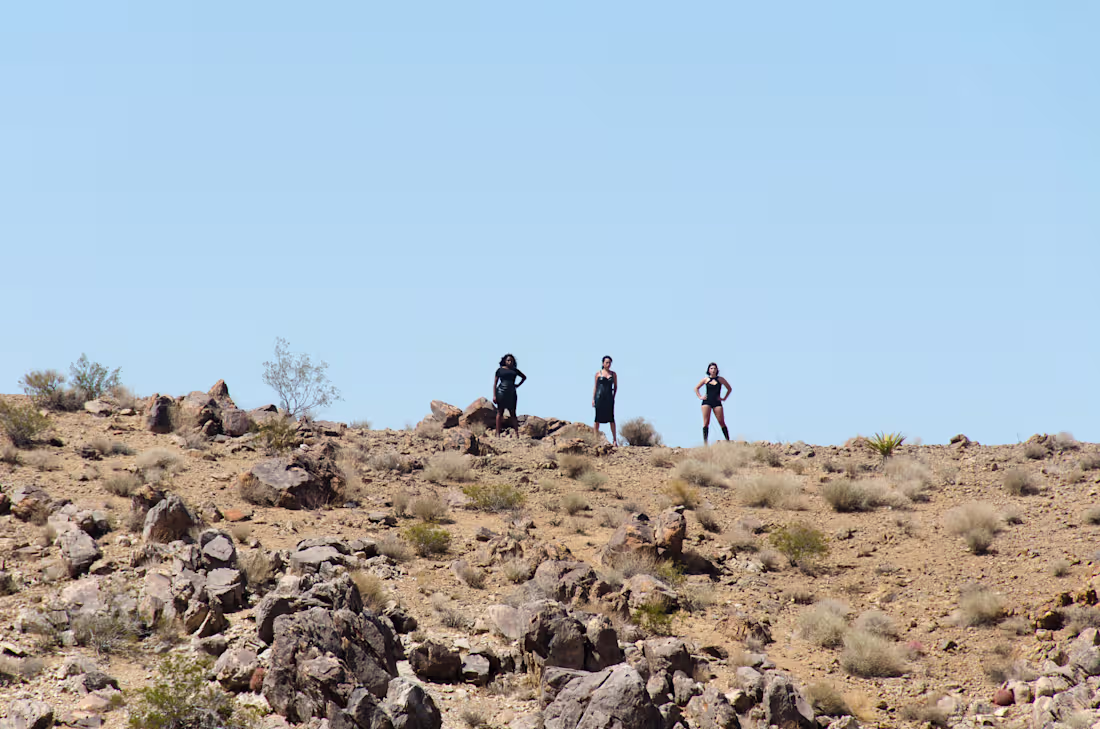 Cover image for DEADLY DAMES - shoot management