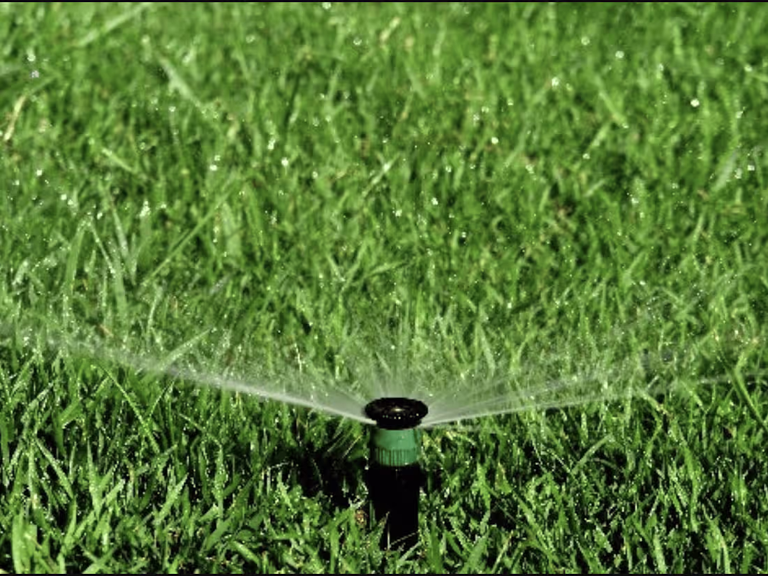 Cover image for Irrigation & Landscaping Services