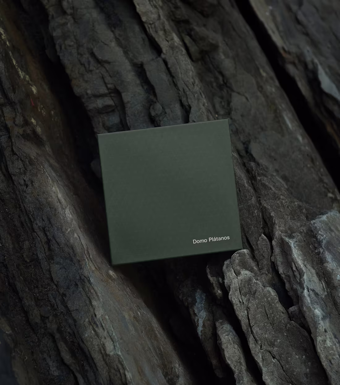 Cover image for Bringing modern luxury to Brazil’s romantic route