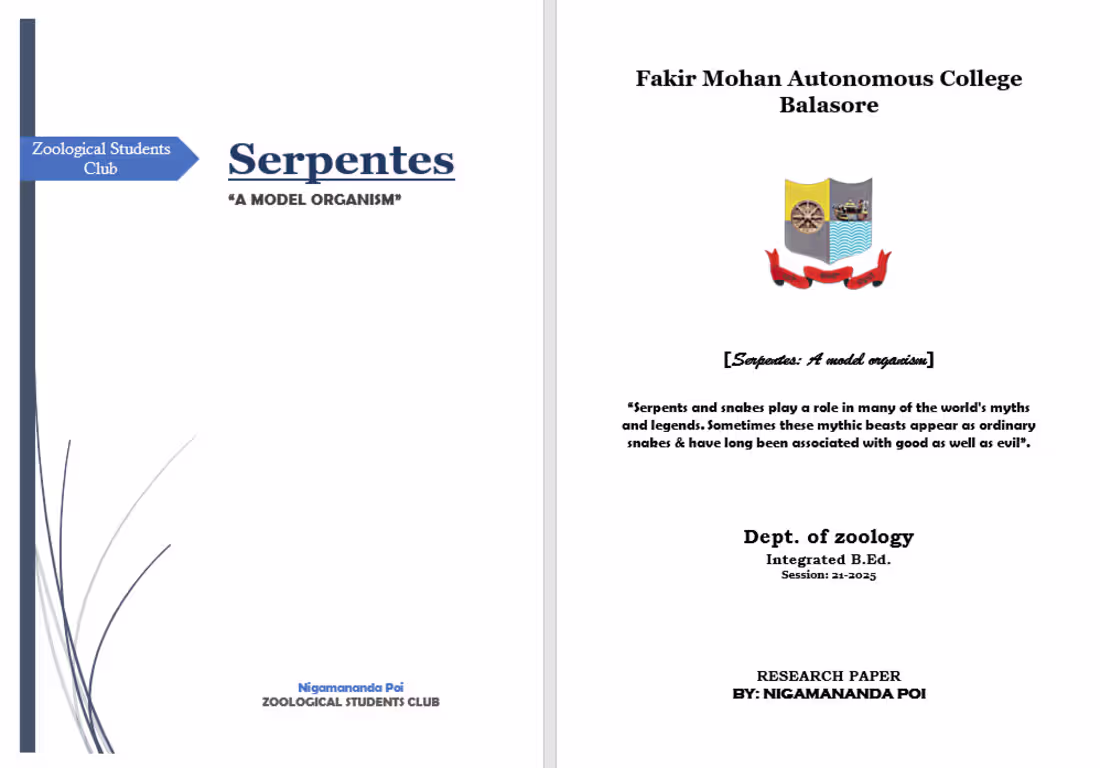 Cover image for Precision Data Input Initiative