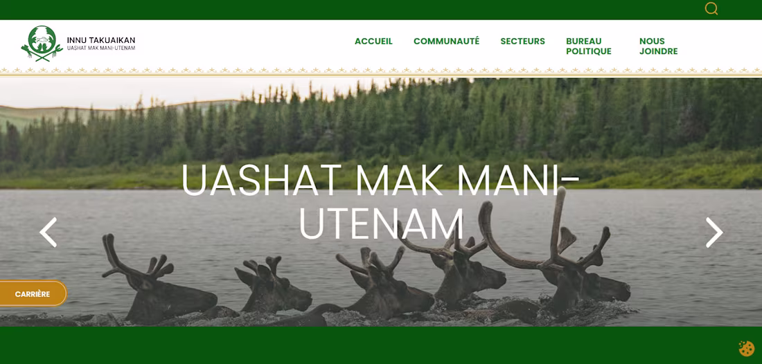 Cover image for Website Restructuring (FR CAN) for ITUM