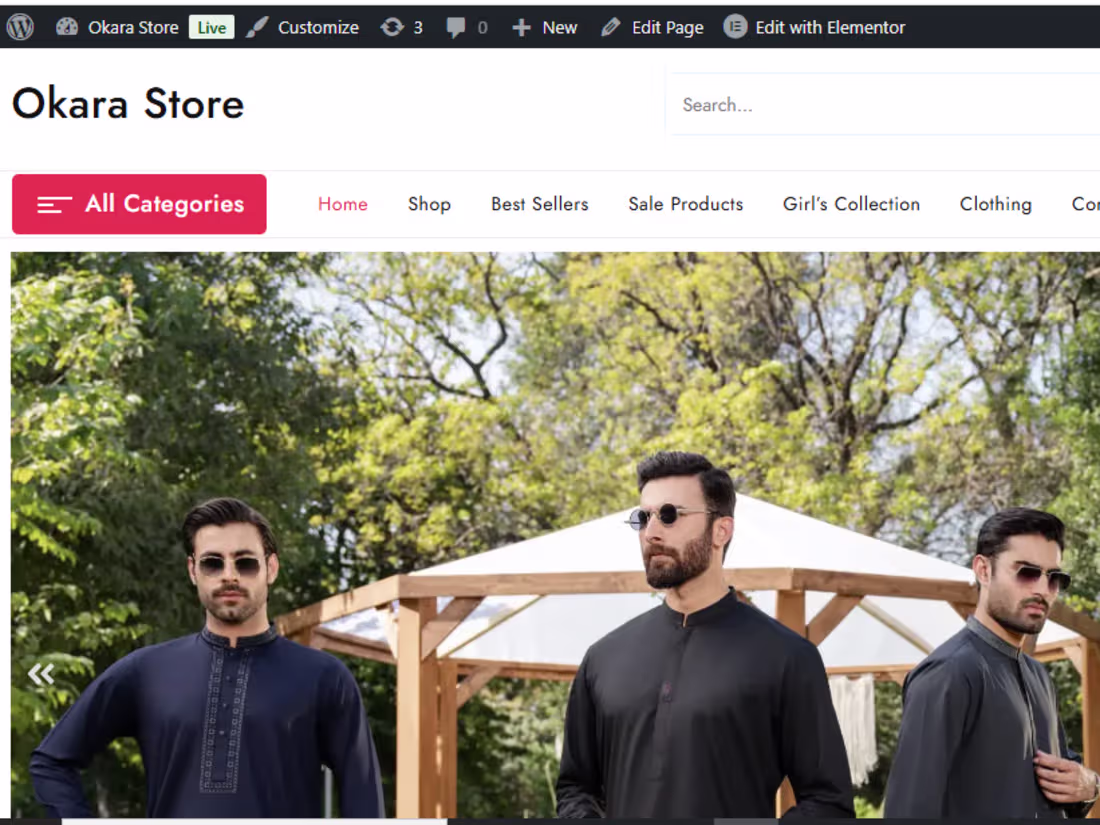 Cover image for Professional & Responsive WordPress Websites or Online Store