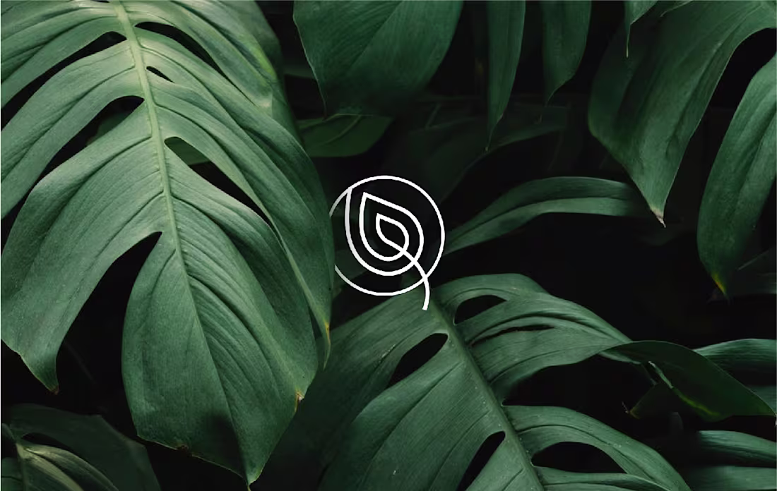 Cover image for Nisarg-ashray branding