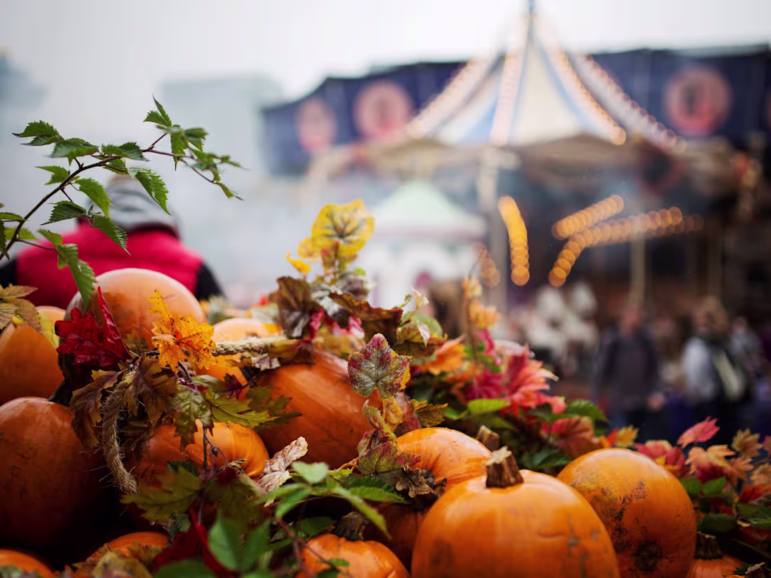 Cover image for Short Story - Read at an Art Museum's Opening Night
