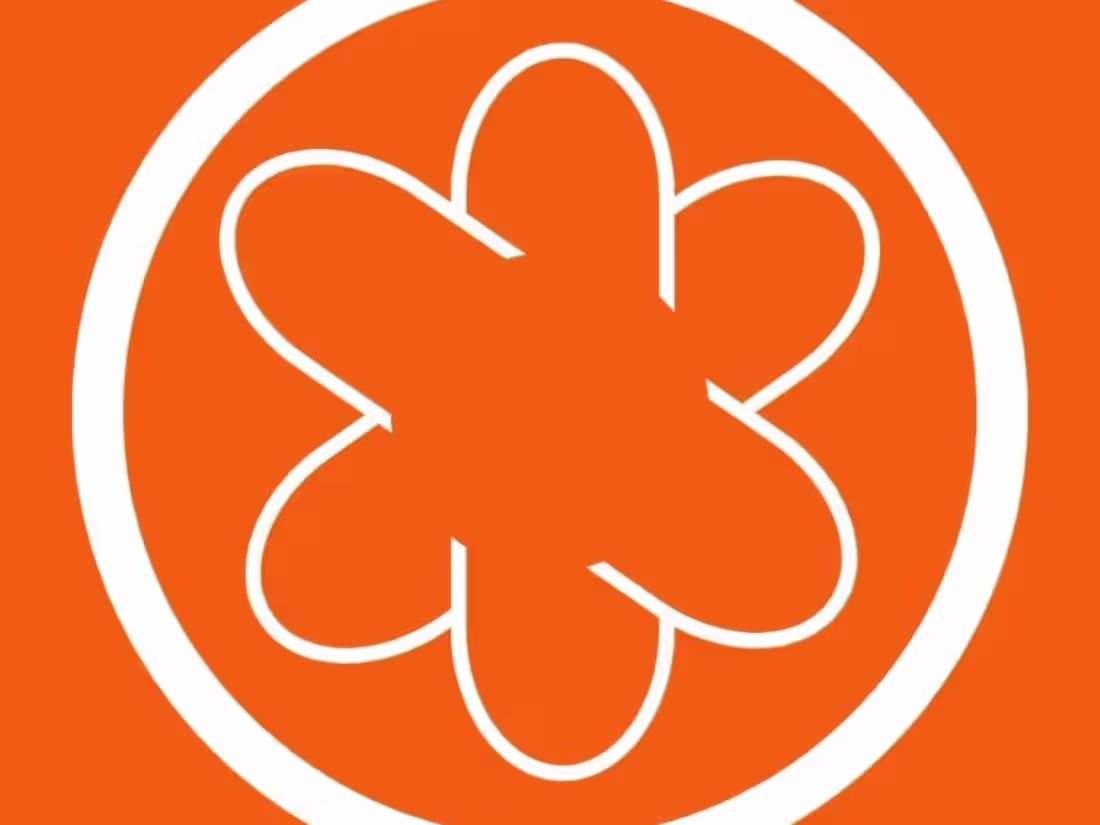 Cover image for Fashion Shopping