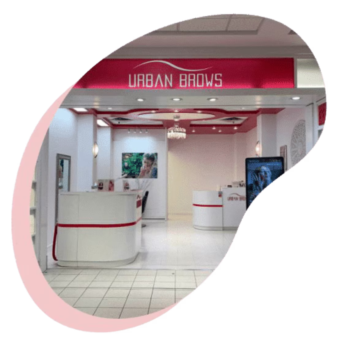 Cover image for Shopify Theme Customization