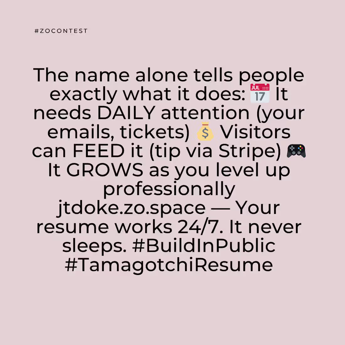 Cover image for Tamagotchi resume ZoChi play with