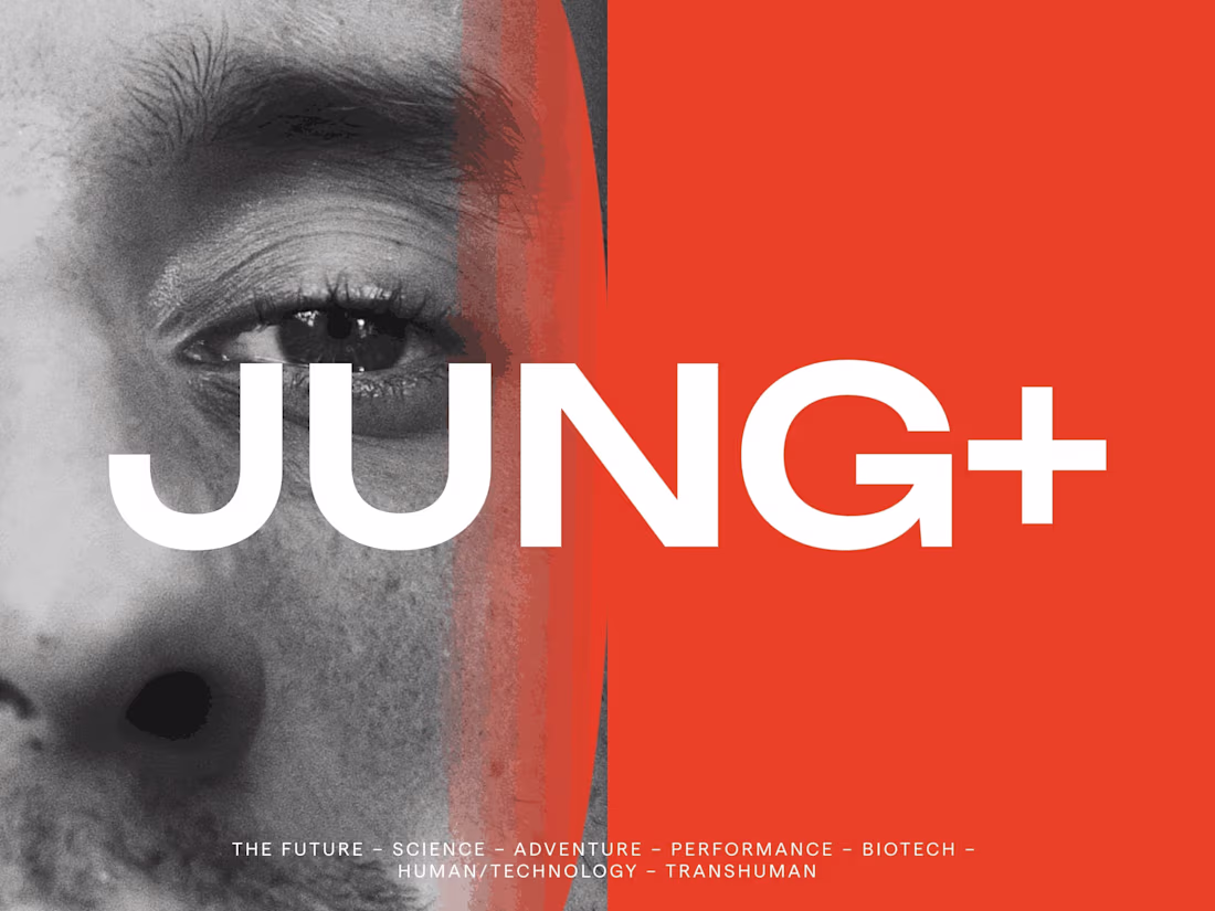 Cover image for Jung+