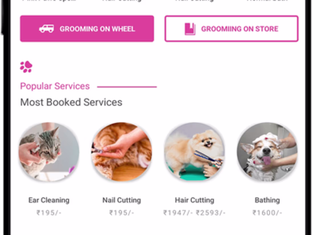 Cover image for FullStack & Hybrid App Developer React Native