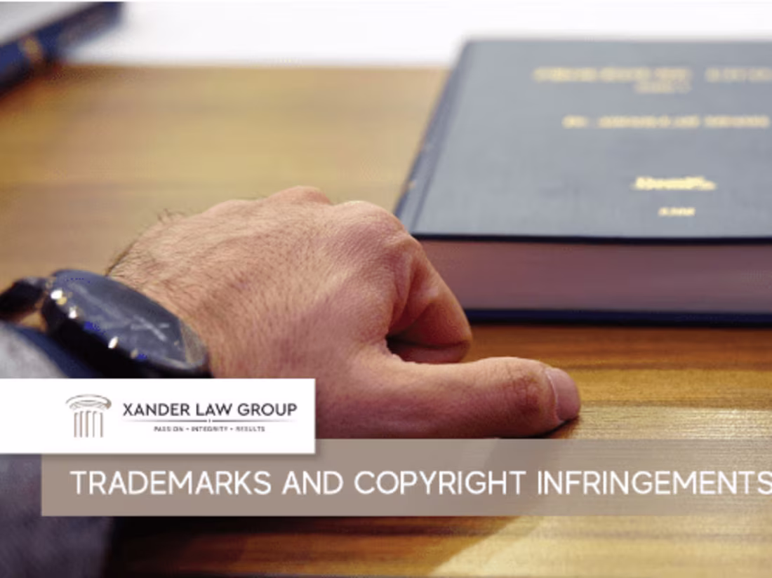 Cover image for TRADEMARKS AND COPYRIGHT INFRINGEMENTS