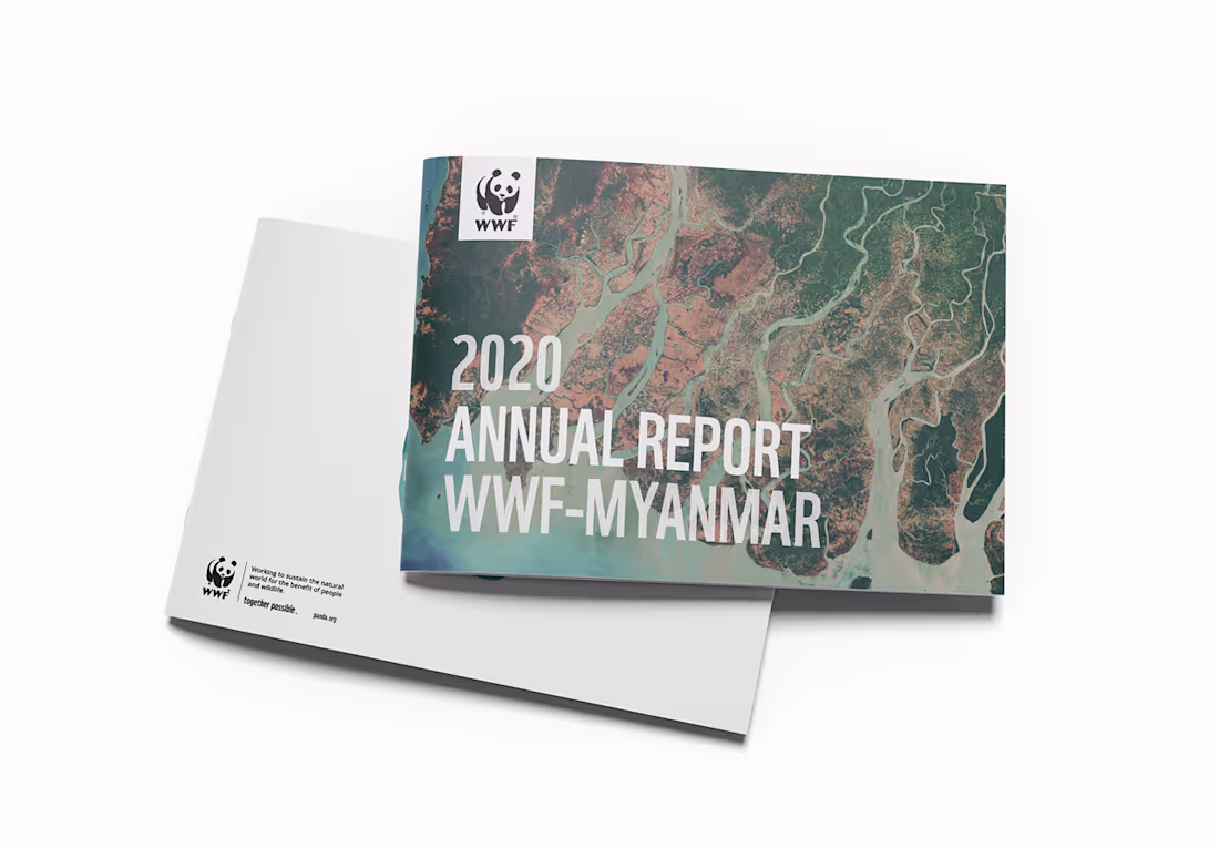Cover image for Editorial Design: WWF Annual Report