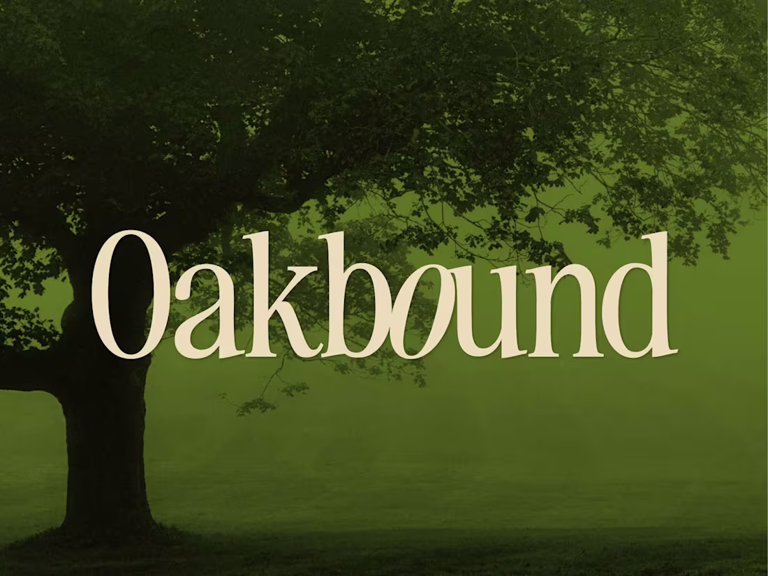 Cover image for Digital Growth Studio Branding