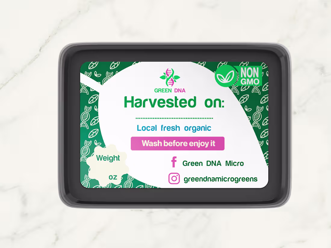 Cover image for Green DNA Brand Identity 