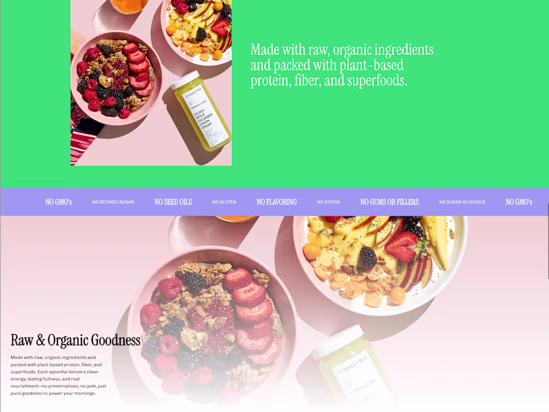 Cover image for Protein Bite Subscription Service