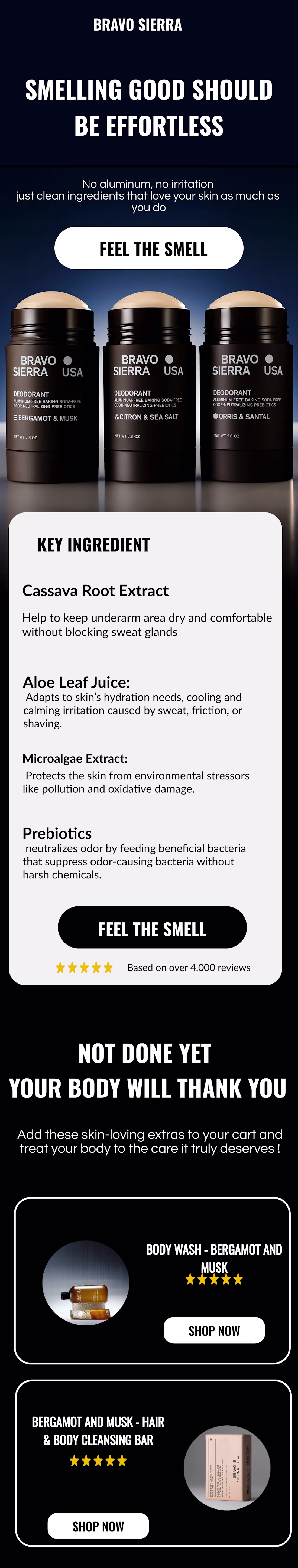 Cover image for Email Mockup Campaign Design for bravo Sierra