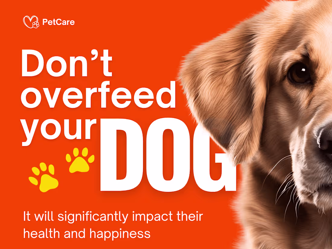 Cover image for Visual Impact Design