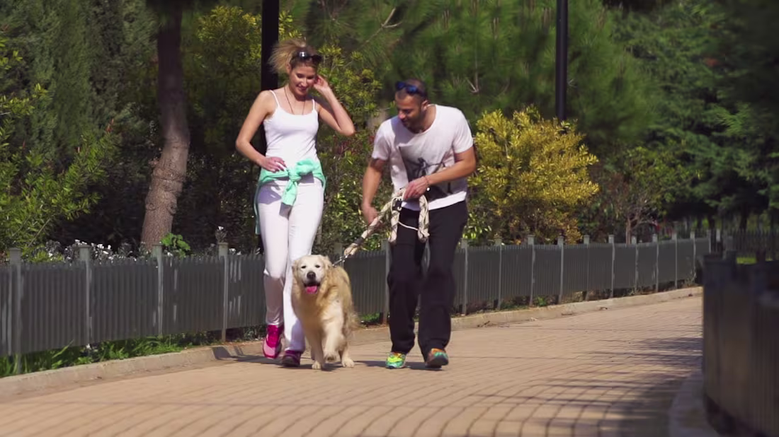 Cover image for Gustavo Kaplan video projects