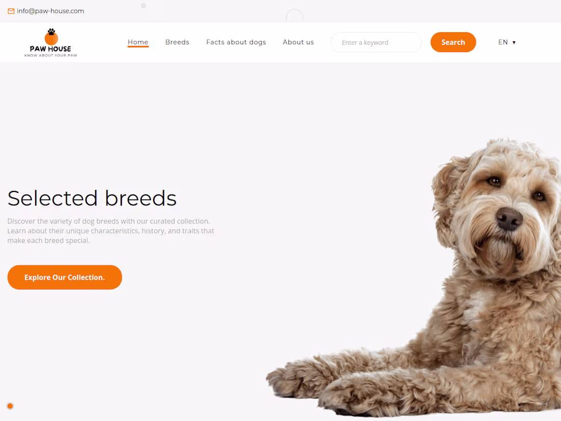 Cover image for Welcome to Paw House: Your Source for Information and Interesti…