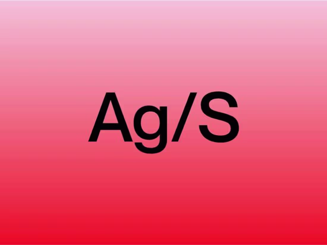 Cover image for Ag/S