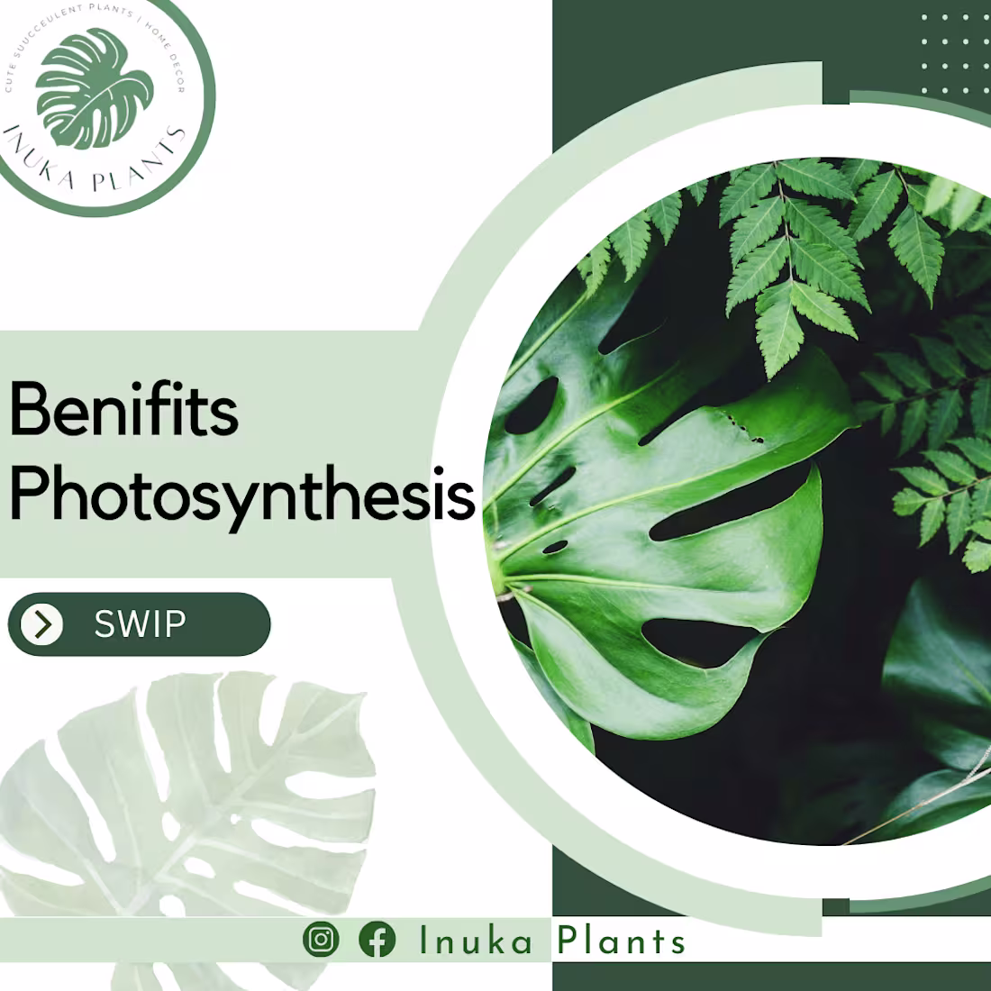 Cover image for Instagram Contents