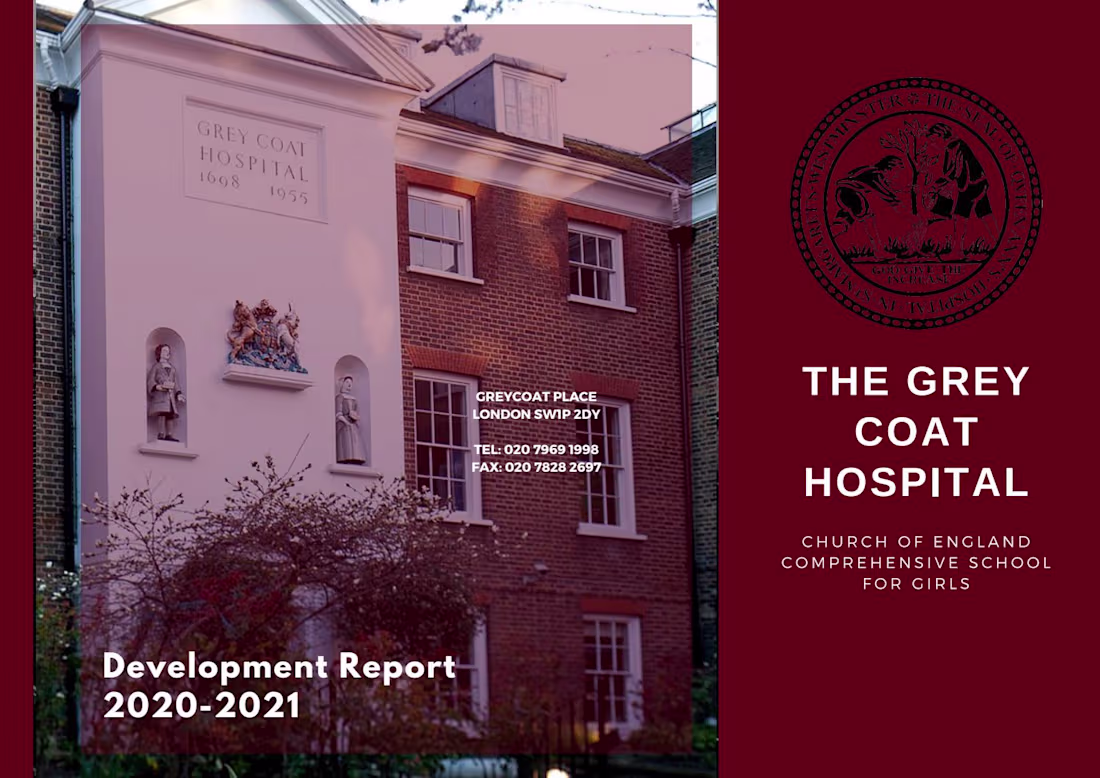 Cover image for Development Report