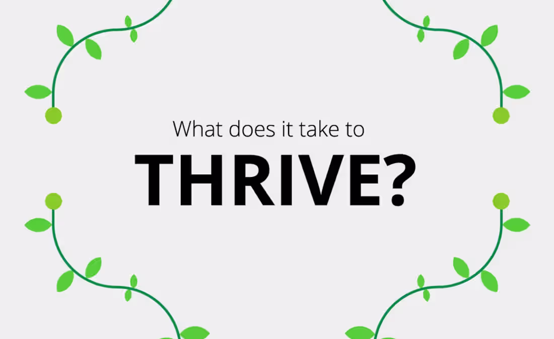 Cover image for This project I did for