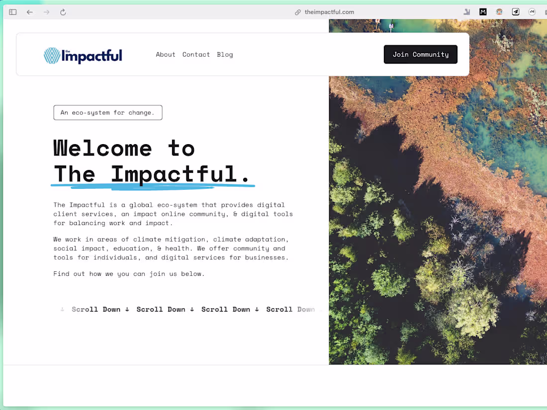 Cover image for Brand & Community Build, Launch, & Growth