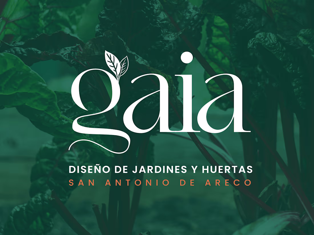 Cover image for Logo Design and Visual Identity Pack for Small Businesses