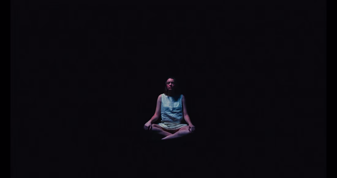 Cover image for THE MEDITATOR