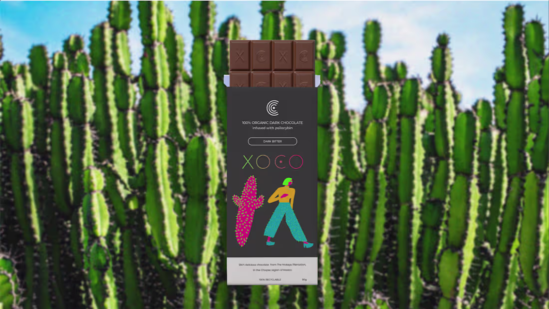 Cover image for XOCO | Brand Design