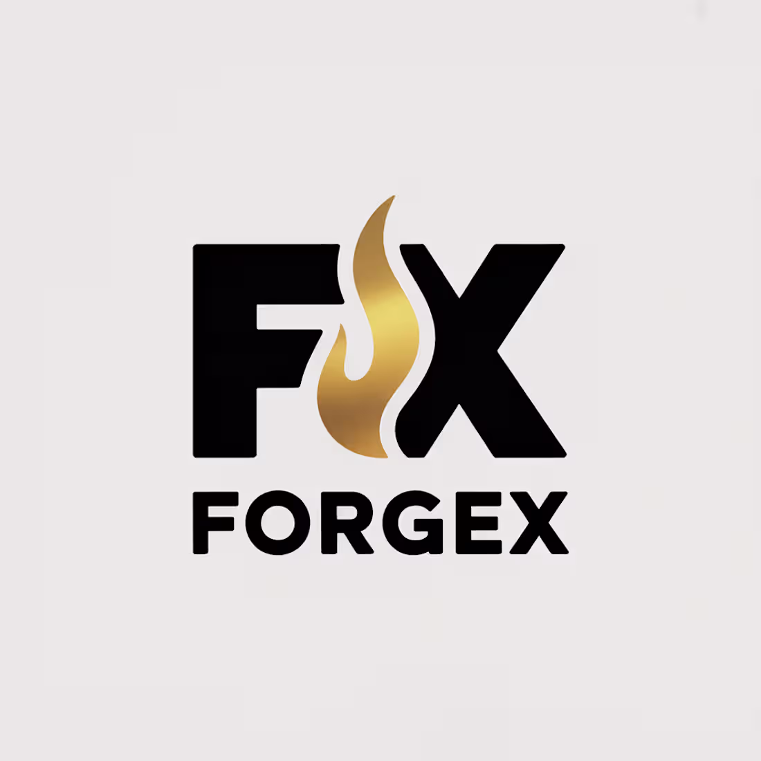 Cover image for ForgeX — Fitness Studio Brand