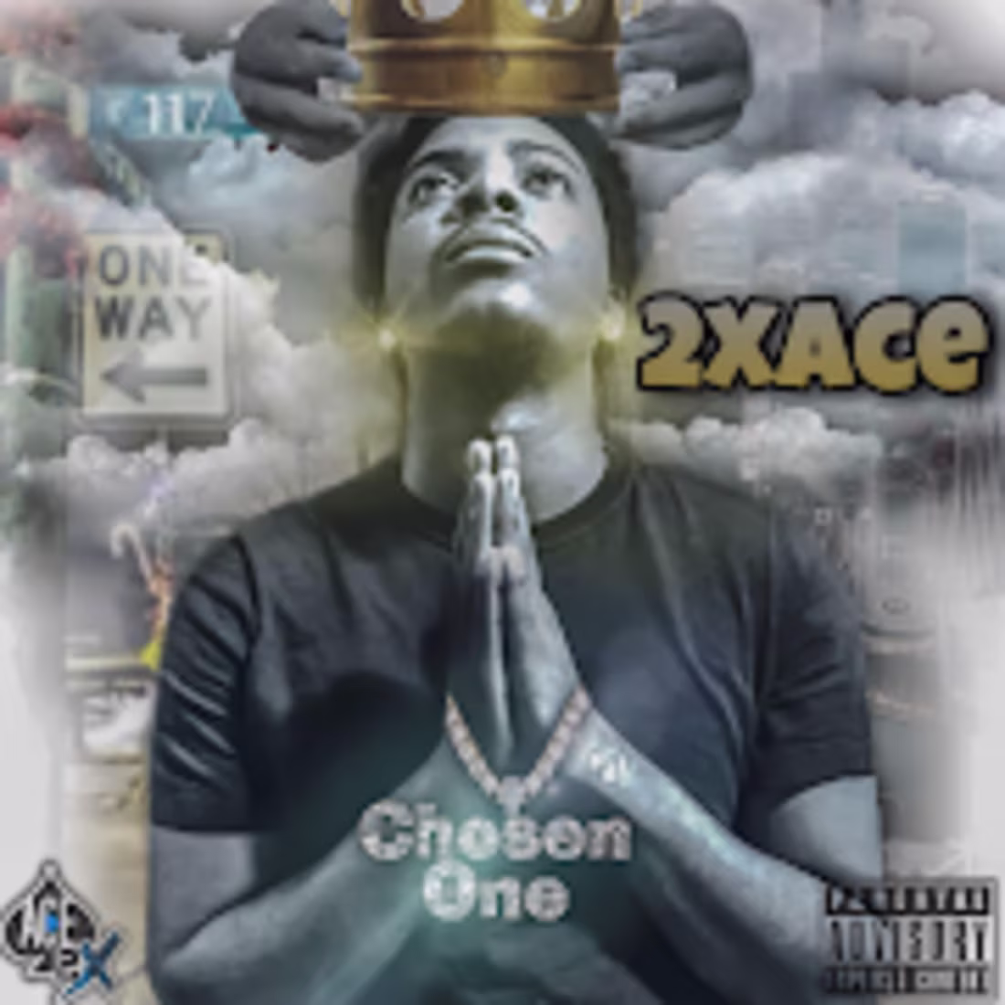 Cover image for Chosen One