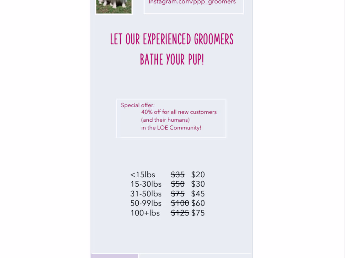 Cover image for Summer Sale Print Set – Local & Regional Pet Grooming Campaign