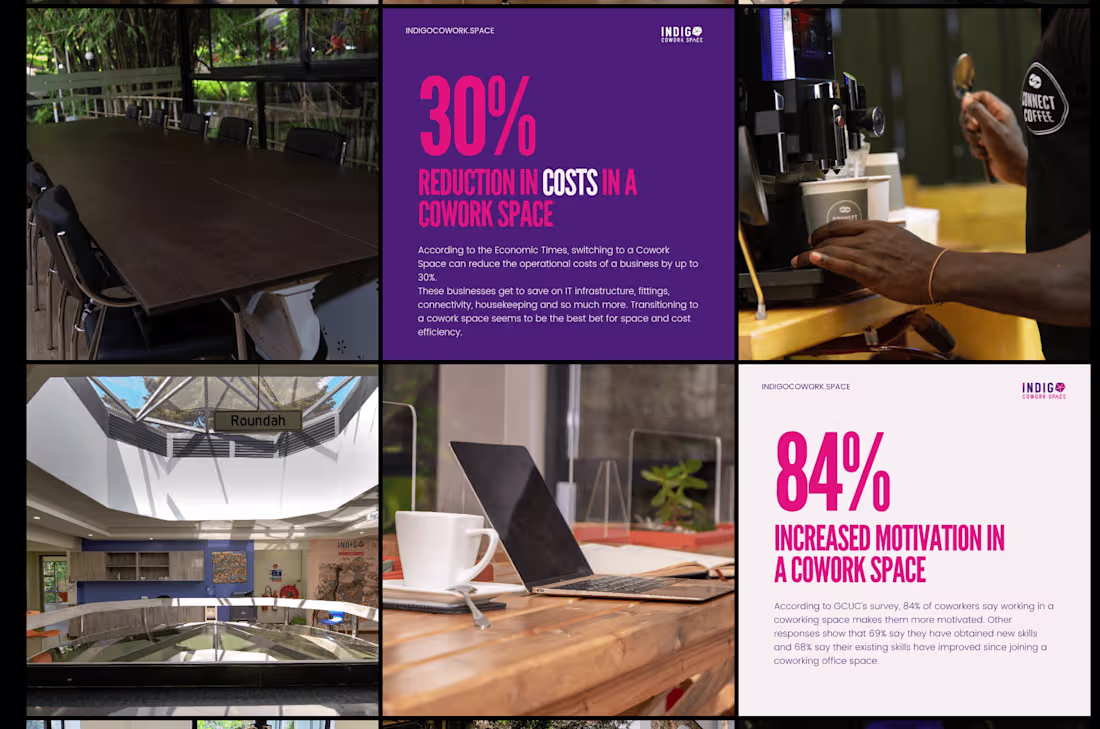 Cover image for Indigo: Brand Development