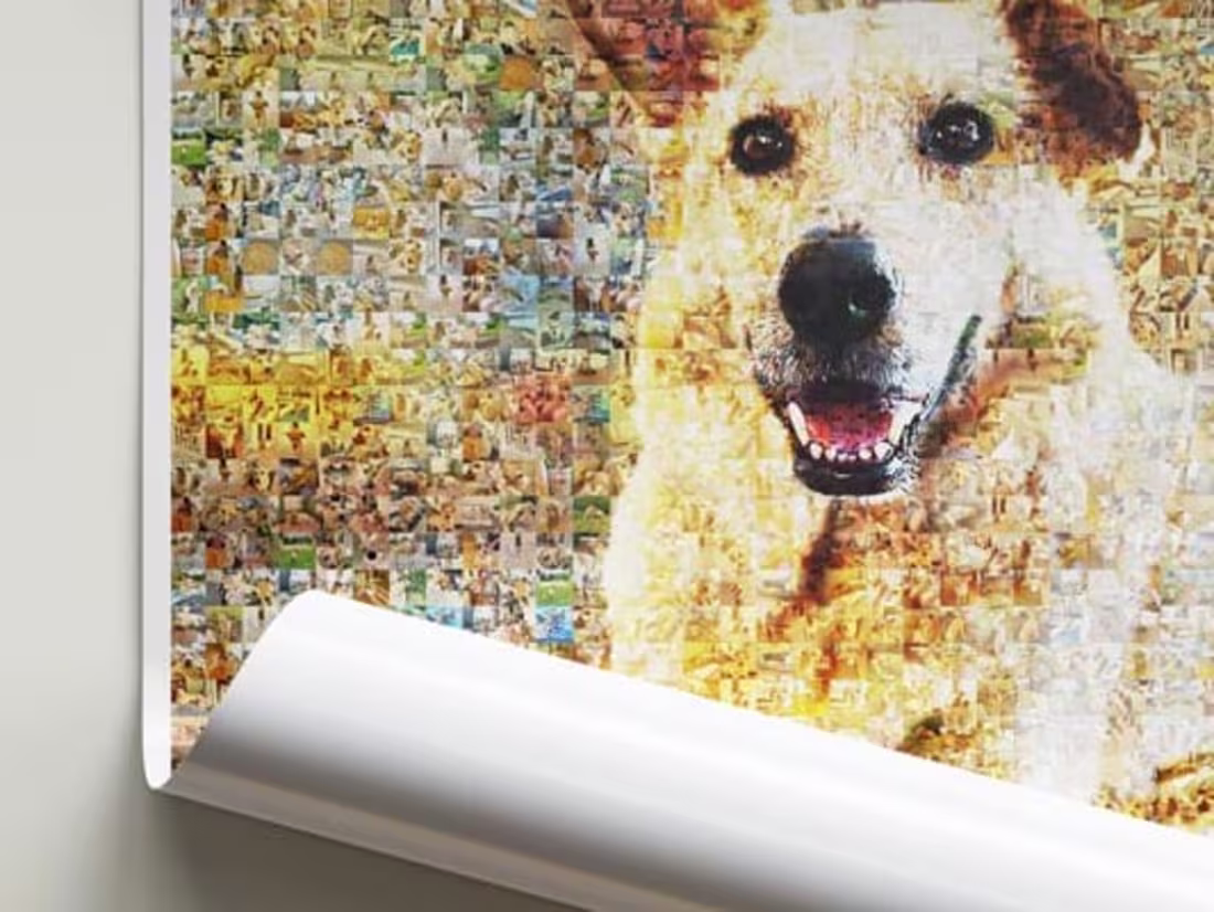 Cover image for Custom Pet Photo Mosaics