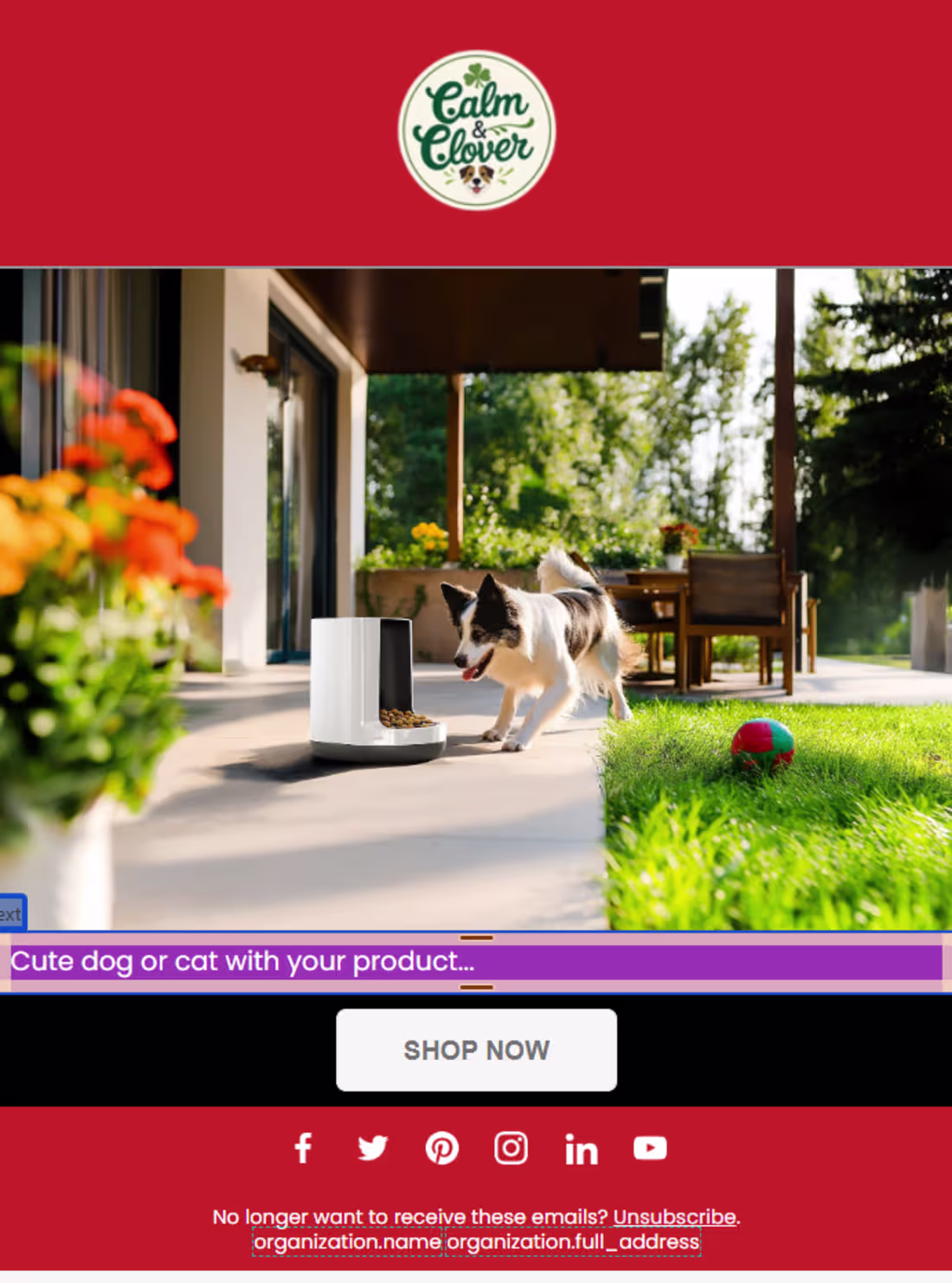 Cover image for Basic Landing Page