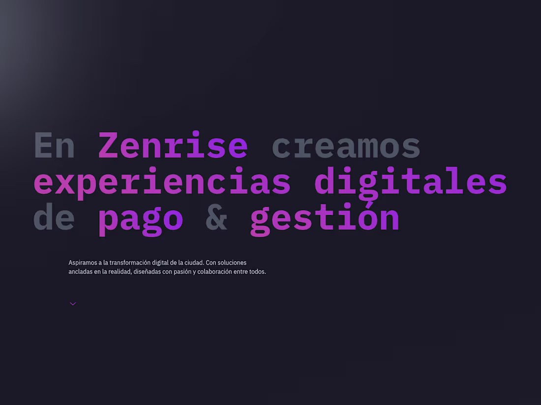 Cover image for Zenrise