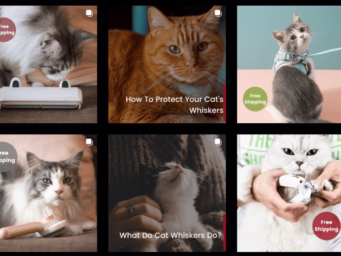 Cover image for Social Media Management | Higooga | 