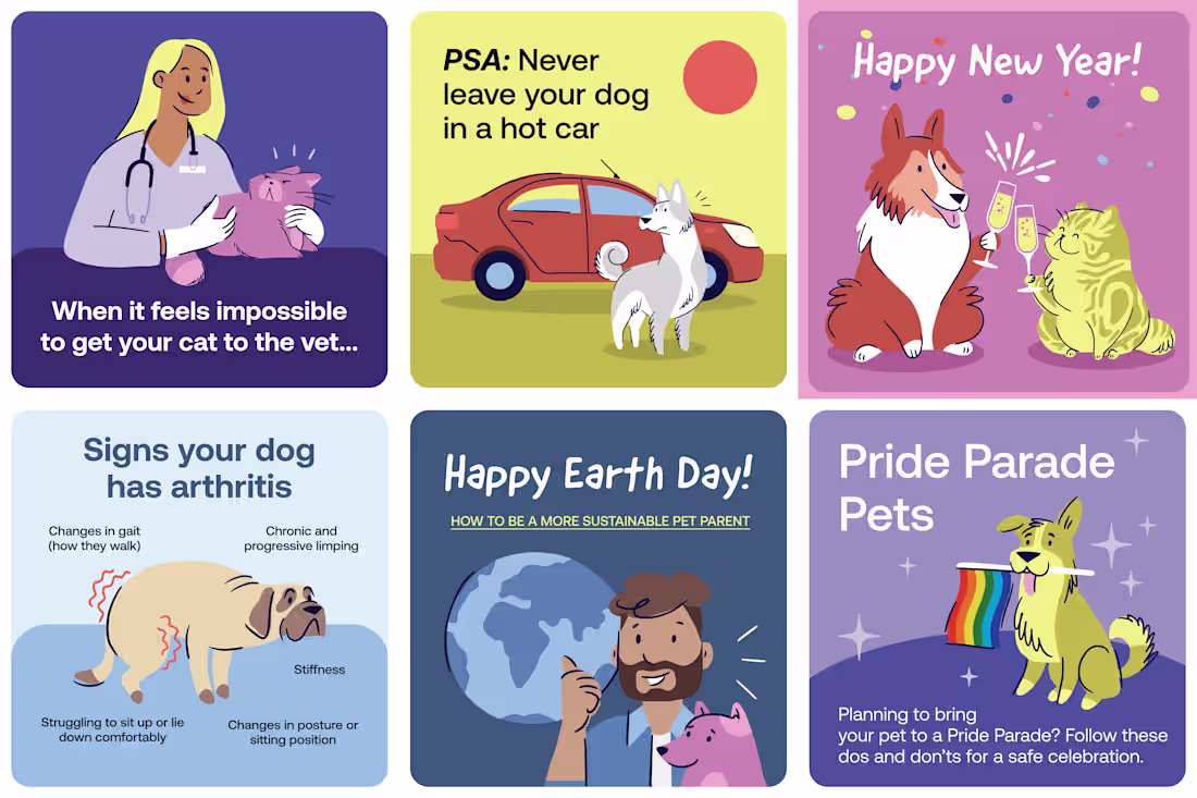 Cover image for Pawp Social Takeover