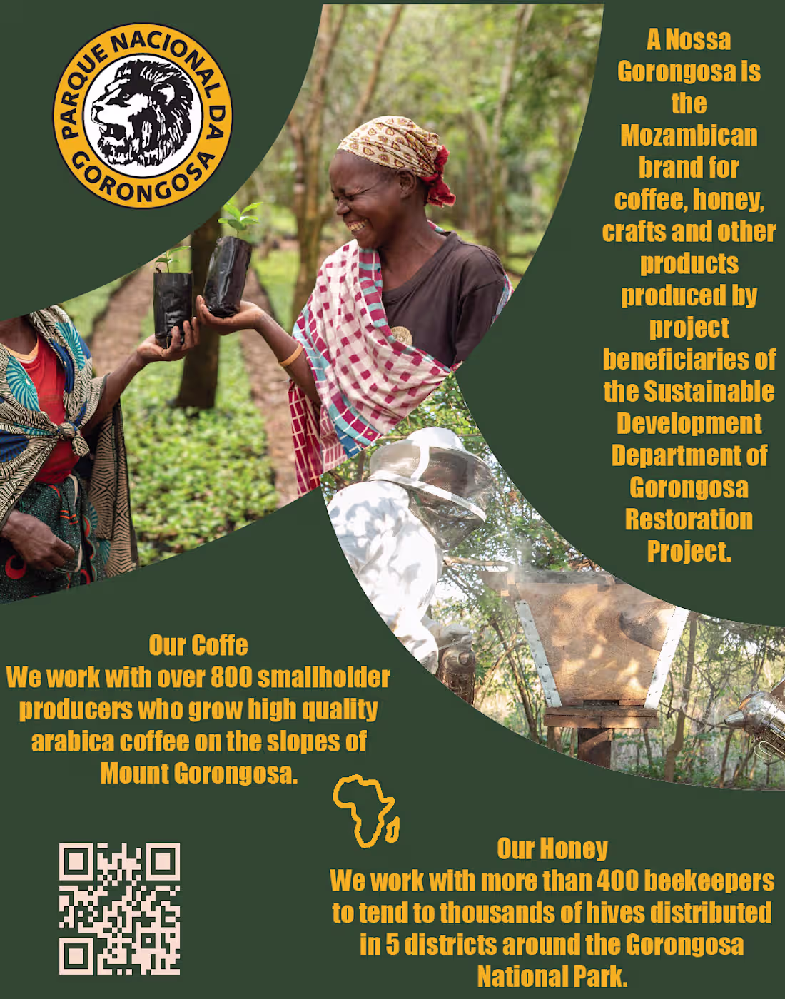 Cover image for Gorongosa Coffee