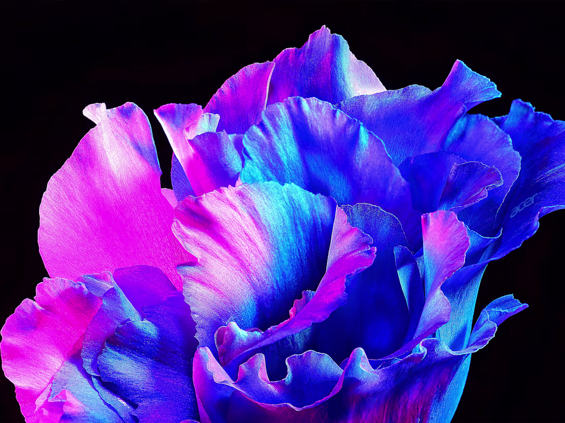 Cover image for Talented & efficient AP style copy editor, 20+y experience