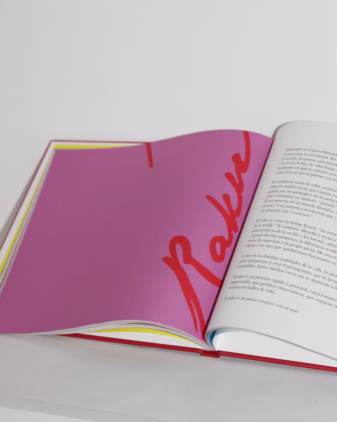 Cover image for Book design for Mariemi Otaola, printed with Nova Era in Bil...