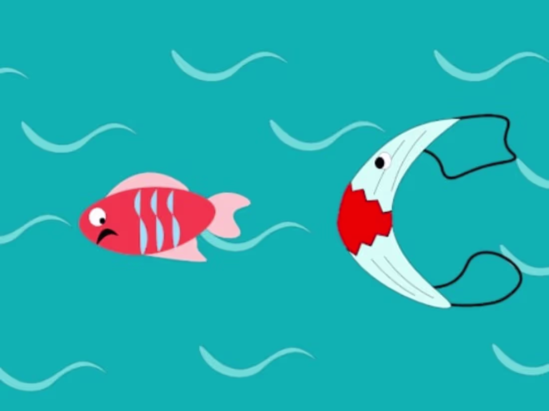 Cover image for Dispose em