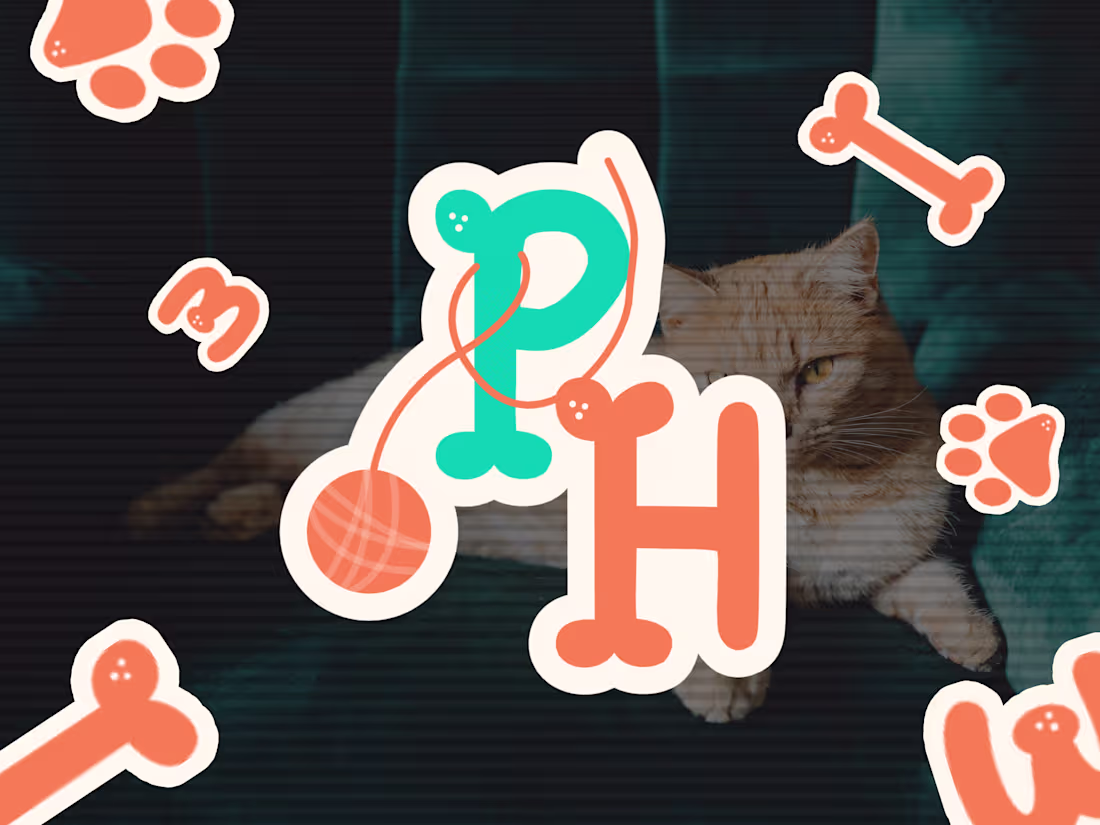 Cover image for Pawfect Haven – Pet Services Brand Identity