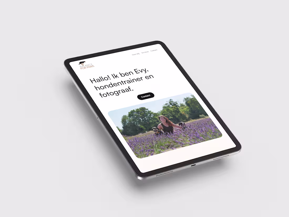 Cover image for Balance for Paws