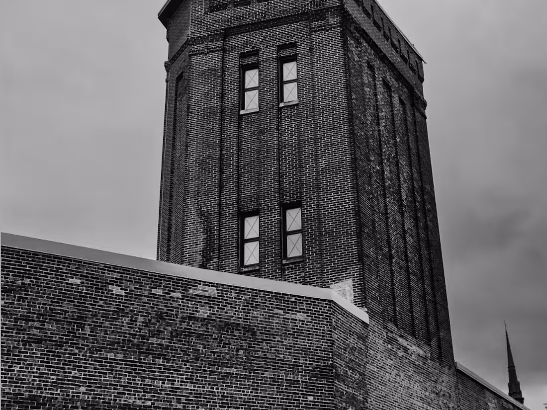 Cover image for metah.nomis